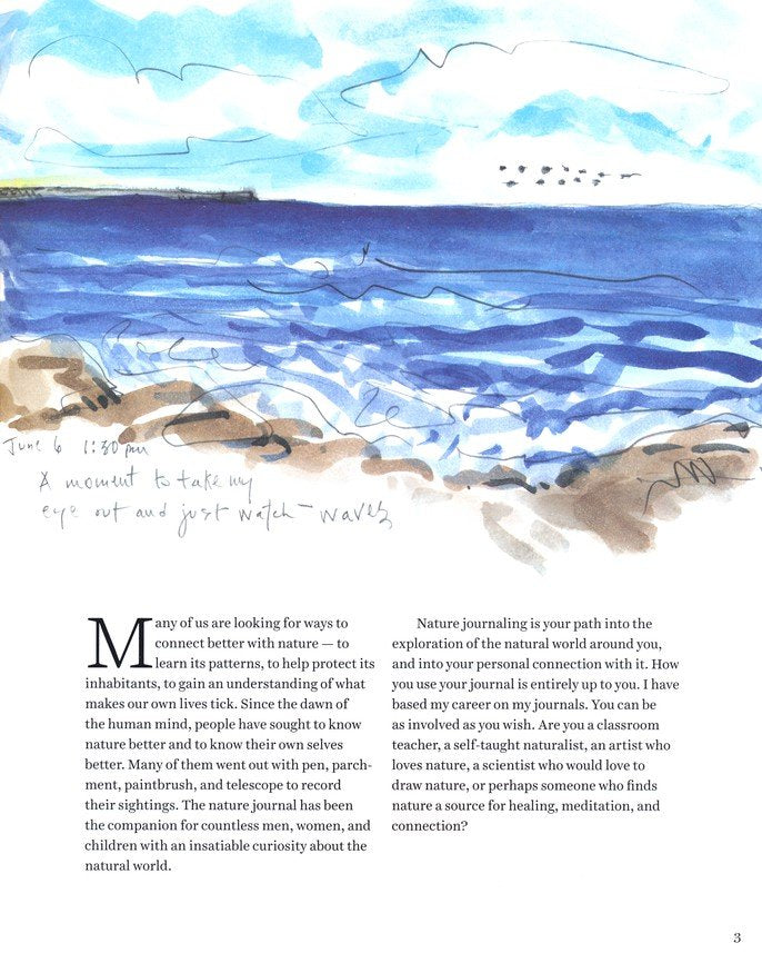 Keeping a Nature Journal - Clare Walker Leslie
