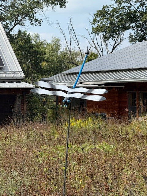 Drifting Prairie Dragon Fly