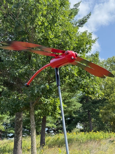 Drifting Prairie Dragon Fly