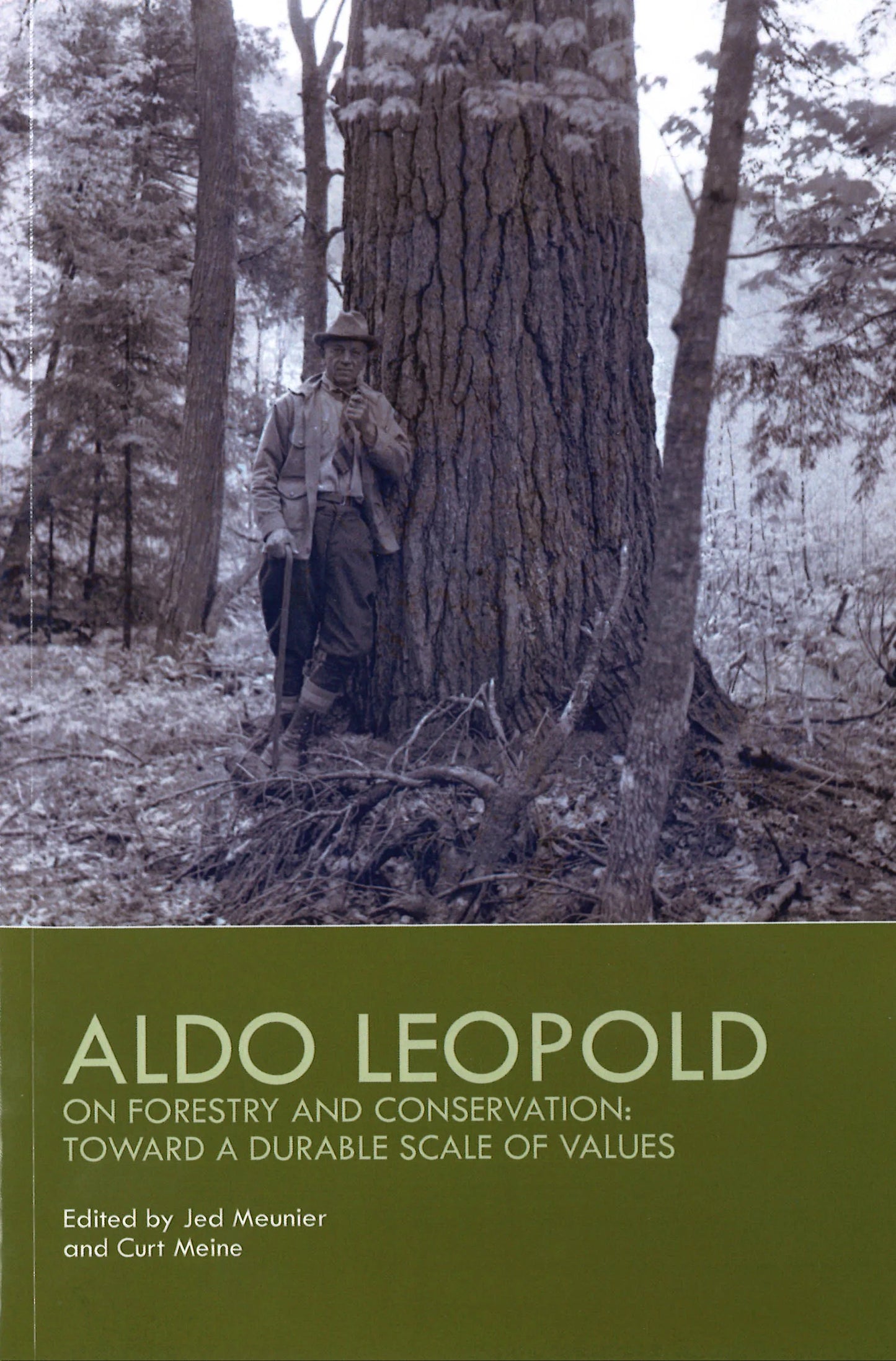 Aldo Leopold on Forestry