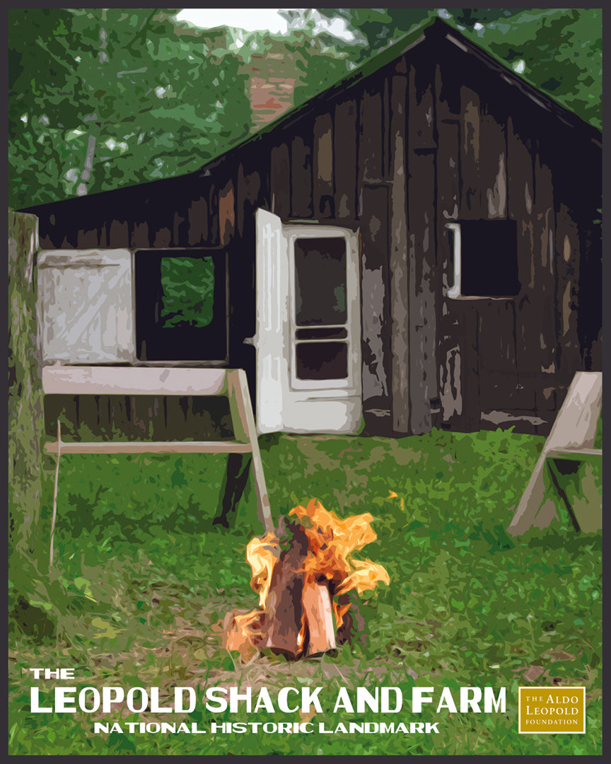 Summer Shack Puzzle