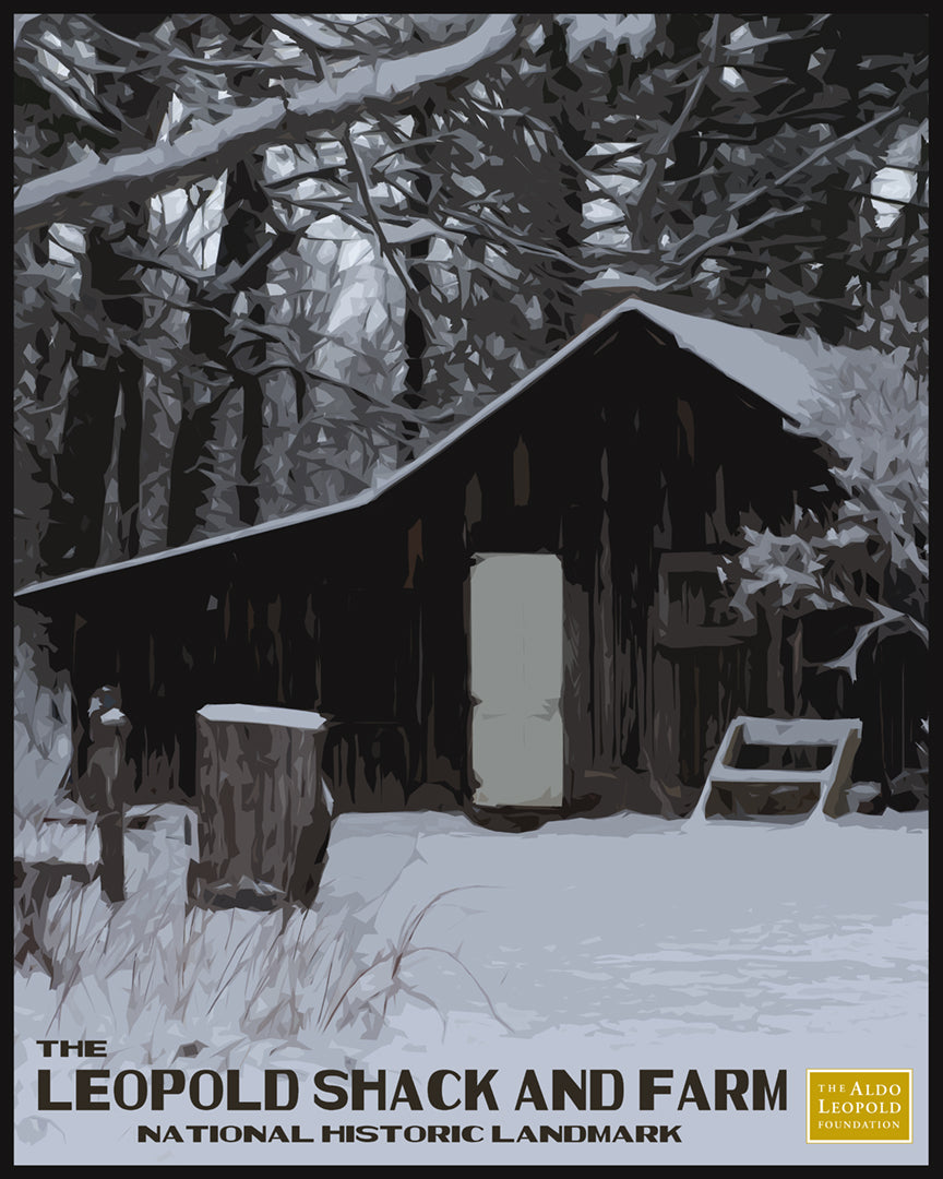 Winter Shack Puzzle