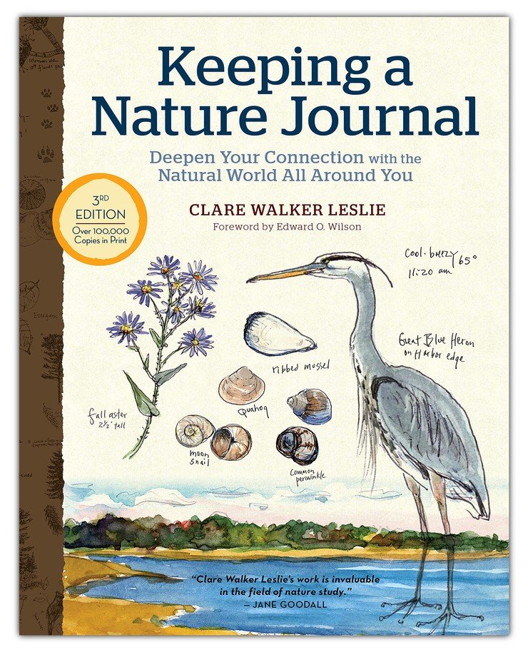 Keeping a Nature Journal - Clare Walker Leslie