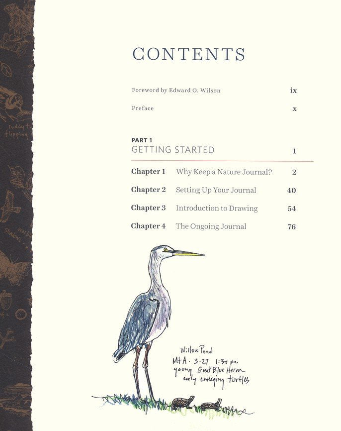Keeping a Nature Journal - Clare Walker Leslie