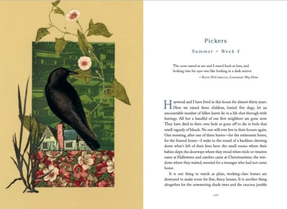 The Comfort of the Crows: A Backyard Year - by Margaret Renkl