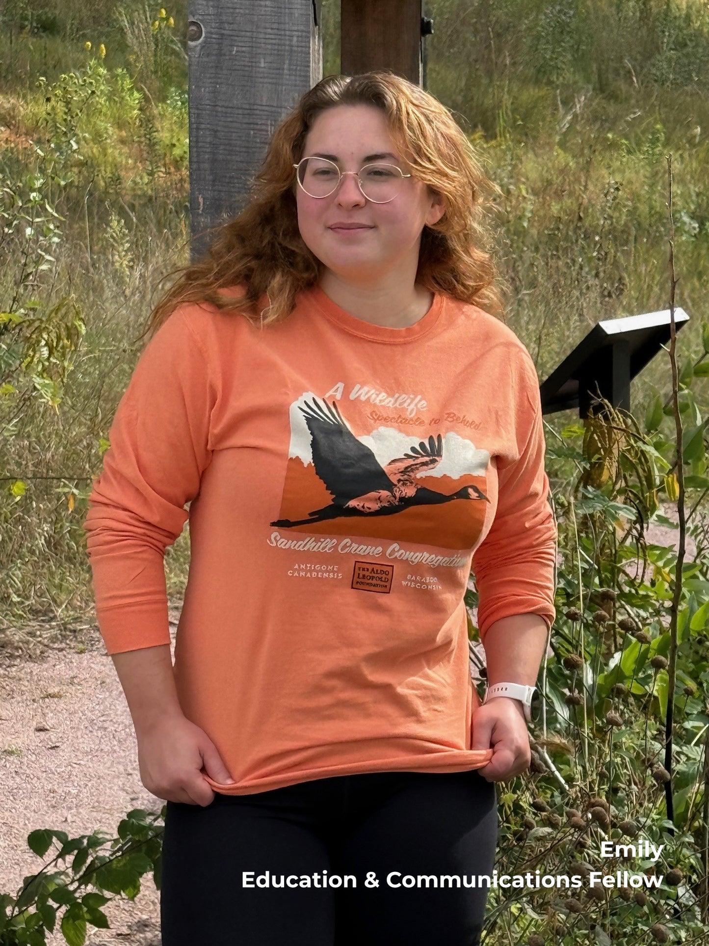 Spectacle to Behold - Sandhill Cranes shirt