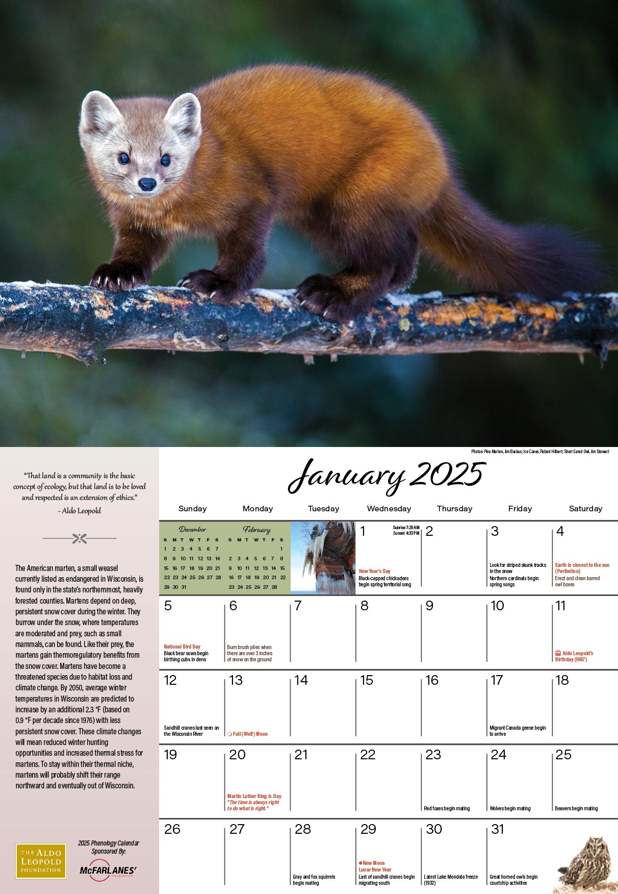 2025 Phenology Calendar