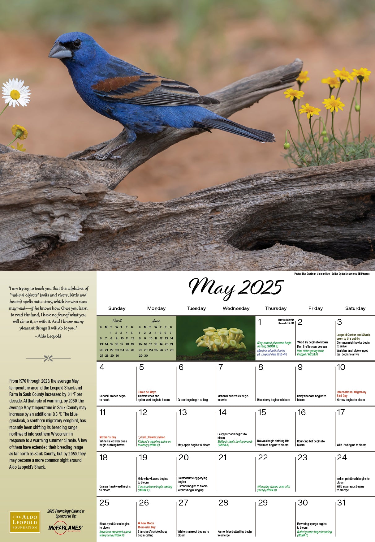 2025 Phenology Calendar